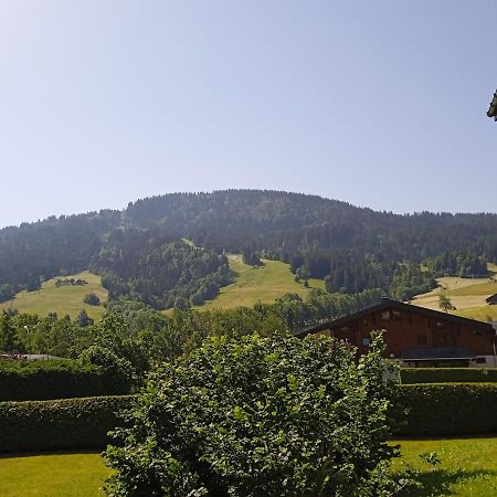 Studio Praz Sur Arly Lägenhet Exteriör bild