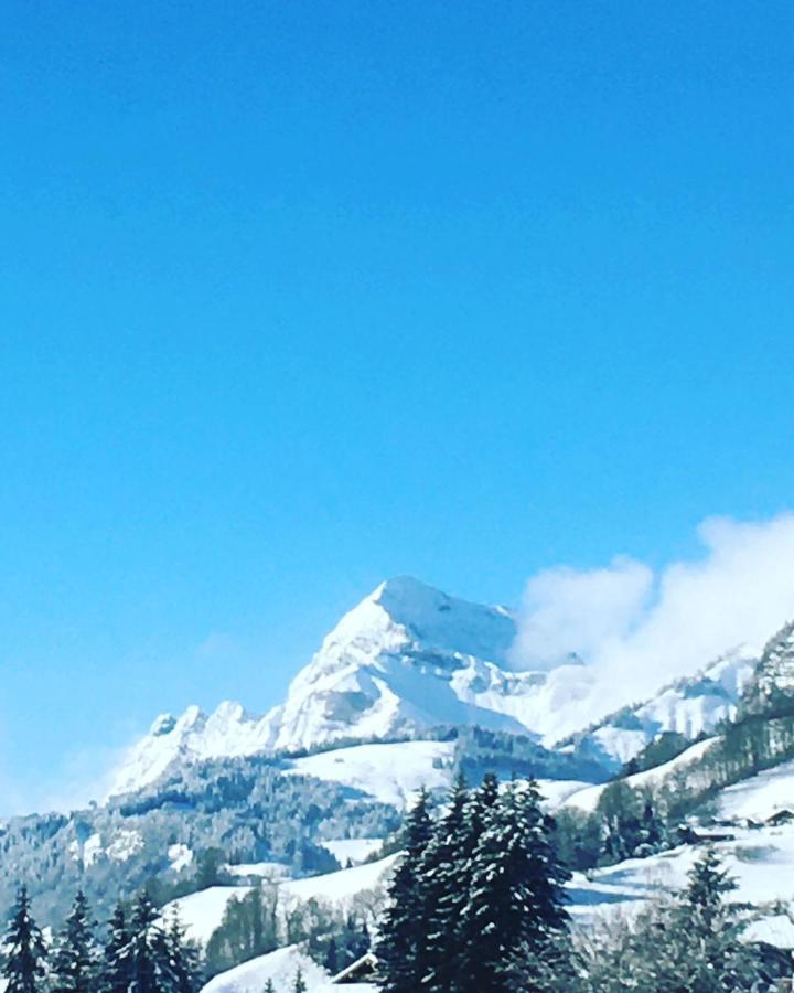 Studio Praz Sur Arly Lägenhet Exteriör bild